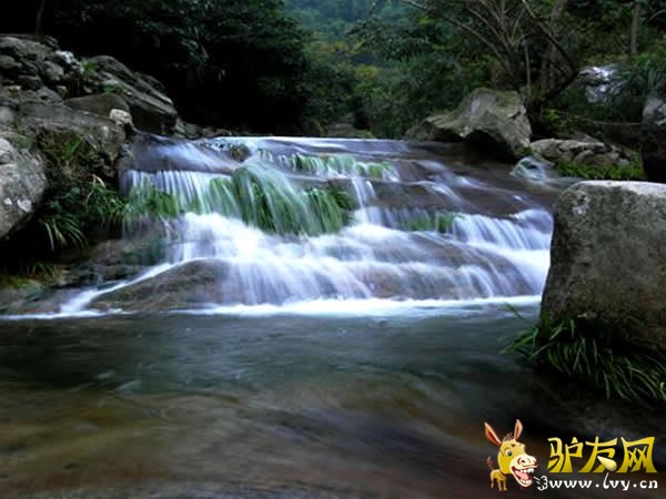 ������̶